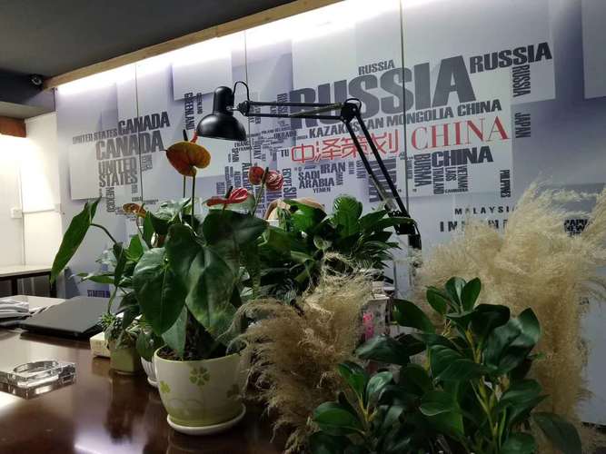 范围包括:市场营销策划;企业形象策划;房地产营销策划;会议及展览服务